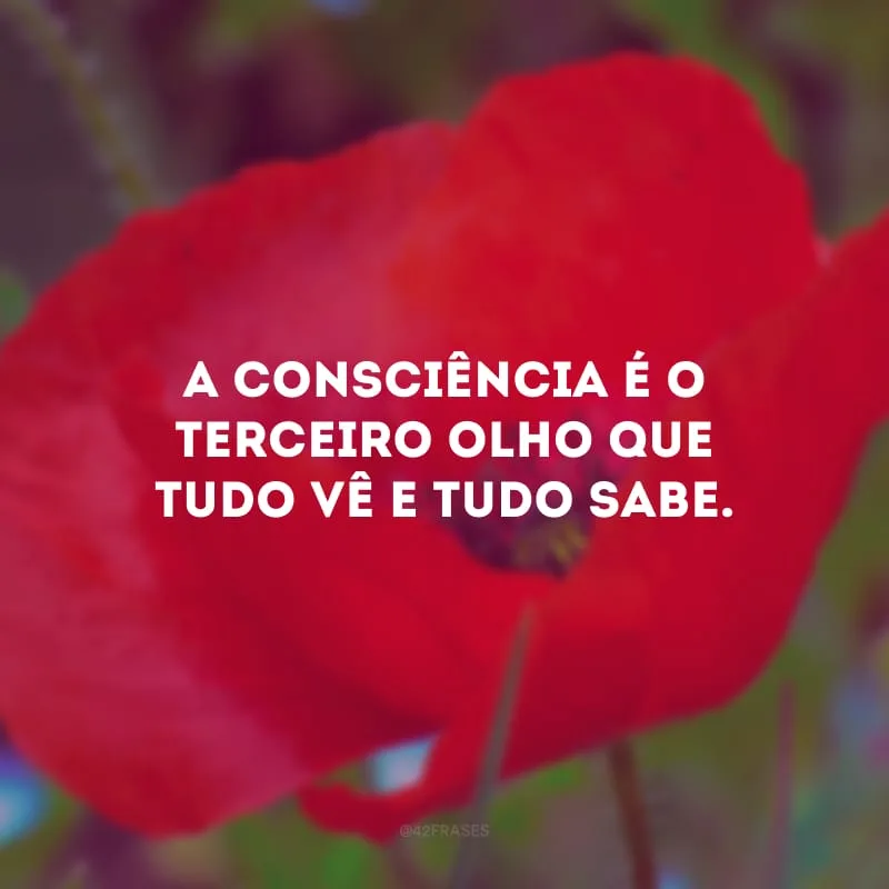 A consciência é o terceiro olho que tudo vê e tudo sabe.