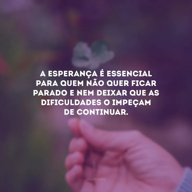 A esperança é essencial para quem não quer ficar parado e nem deixar que as dificuldades o impeçam de continuar.