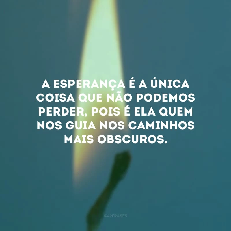 A esperança é a única coisa que não podemos perder, pois é ela quem nos guia nos caminhos mais obscuros. 