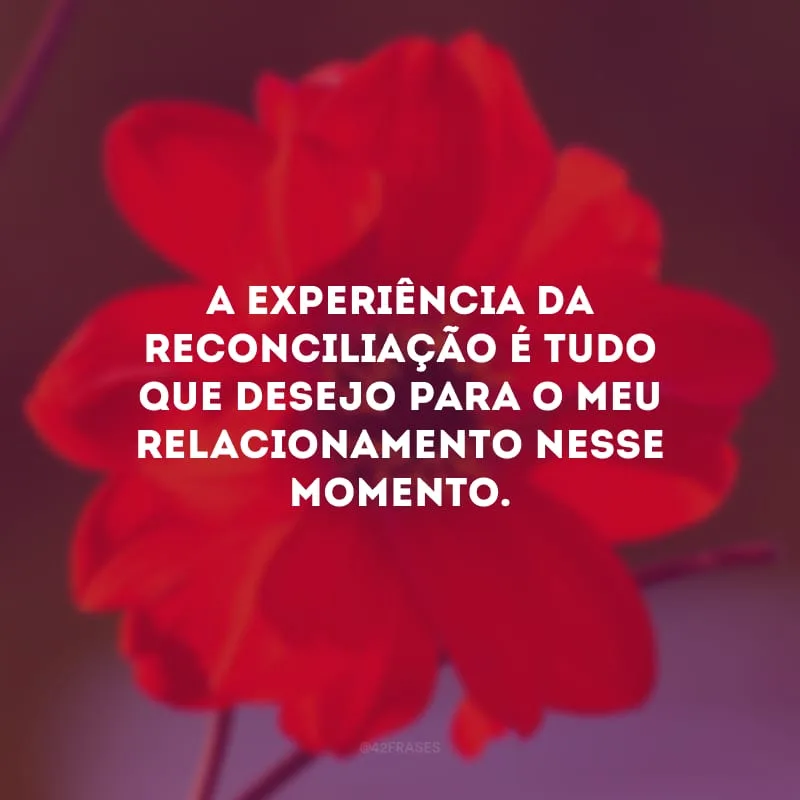 A experiência da reconciliação é tudo que desejo para o meu relacionamento nesse momento.