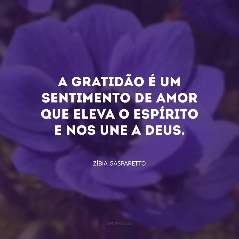 A gratidão é um sentimento de amor que eleva o espírito e nos une a Deus.