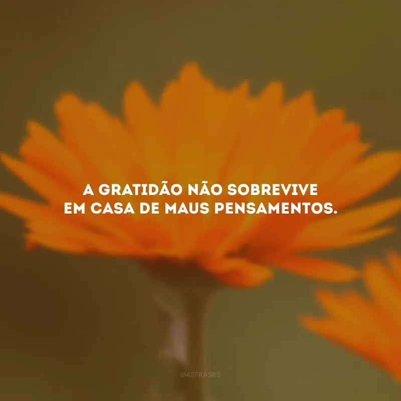 A gratidão não sobrevive em casa de maus pensamentos. 