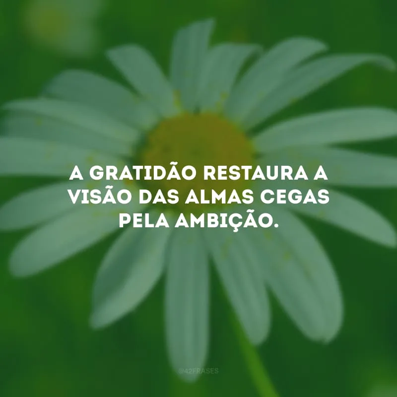 A gratidão restaura a visão das almas cegas pela ambição. 