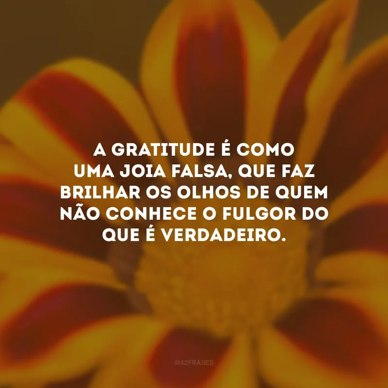 A gratitude é como uma joia falsa, que faz brilhar os olhos de quem não conhece o fulgor do que é verdadeiro. 
