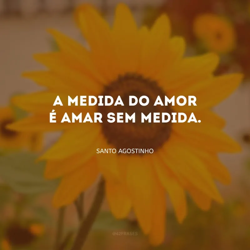 A medida do amor é amar sem medida.