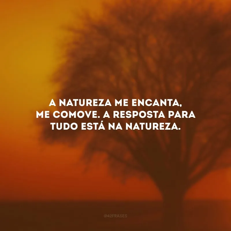 A natureza me encanta, me comove. A resposta para tudo está na natureza.