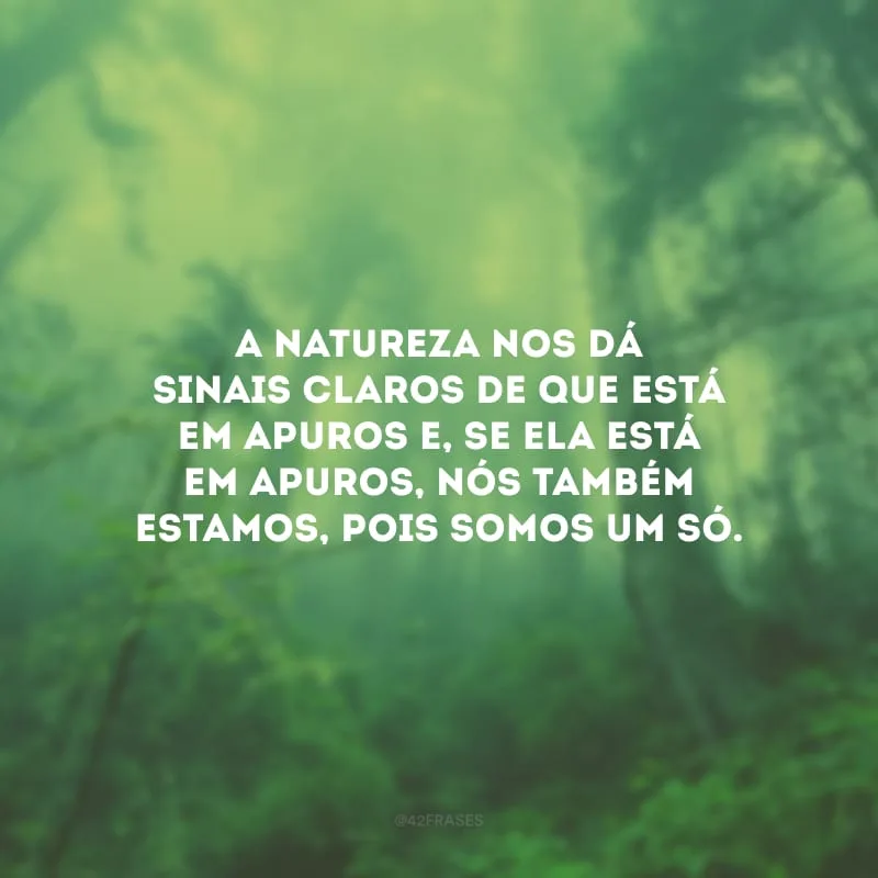 A natureza nos dá sinais claros de que está em apuros e, se ela está em apuros, nós também estamos, pois somos um só.