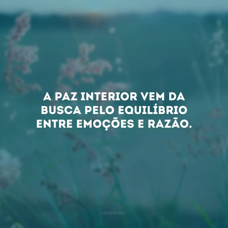 A paz interior vem da busca pelo equilíbrio entre emoções e razão.