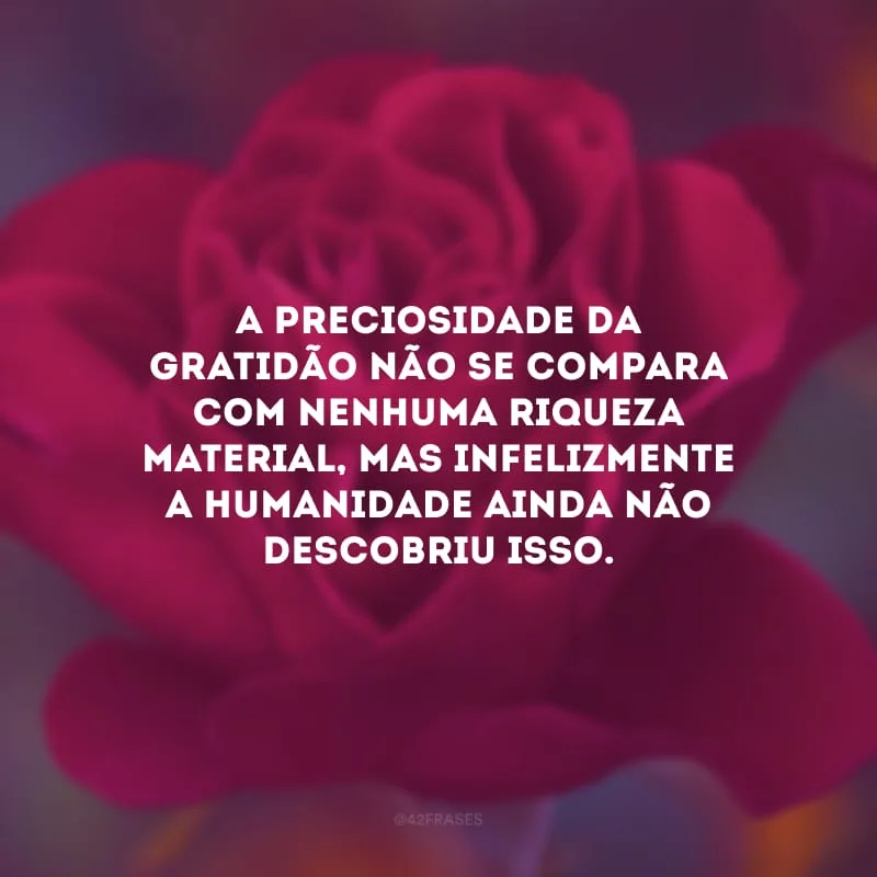 A preciosidade da gratidão não se compara com nenhuma riqueza material, mas infelizmente a humanidade ainda não descobriu isso. 