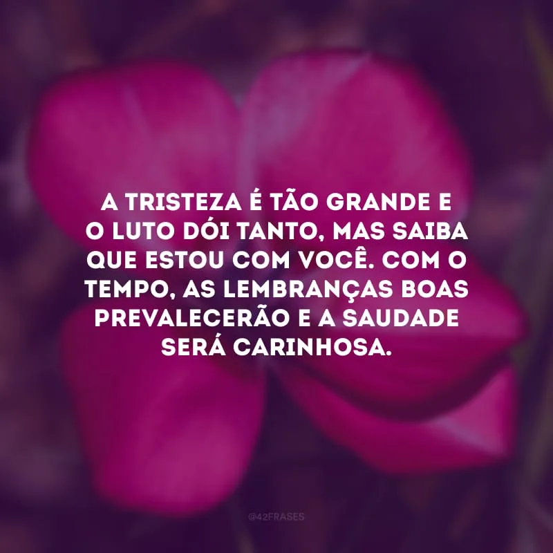 A tristeza é tão grande e o luto dói tanto, mas saiba que estou com você. Com o tempo, as lembranças boas prevalecerão e a saudade será carinhosa. 