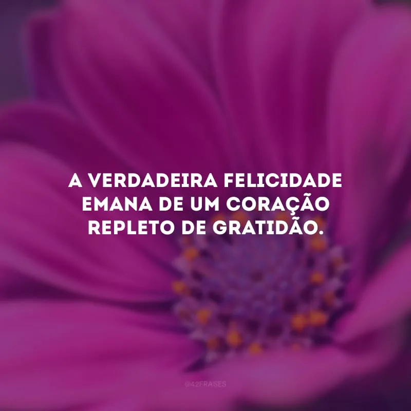 A verdadeira felicidade emana de um coração repleto de gratidão. 