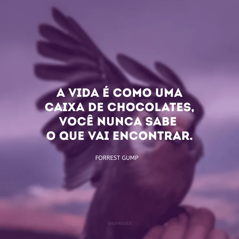 A vida é como uma caixa de chocolates, você nunca sabe o que vai encontrar.

