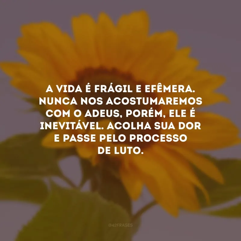 A vida é frágil e efêmera. Nunca nos acostumaremos com o adeus, porém, ele é inevitável. Acolha sua dor e passe pelo processo de luto.