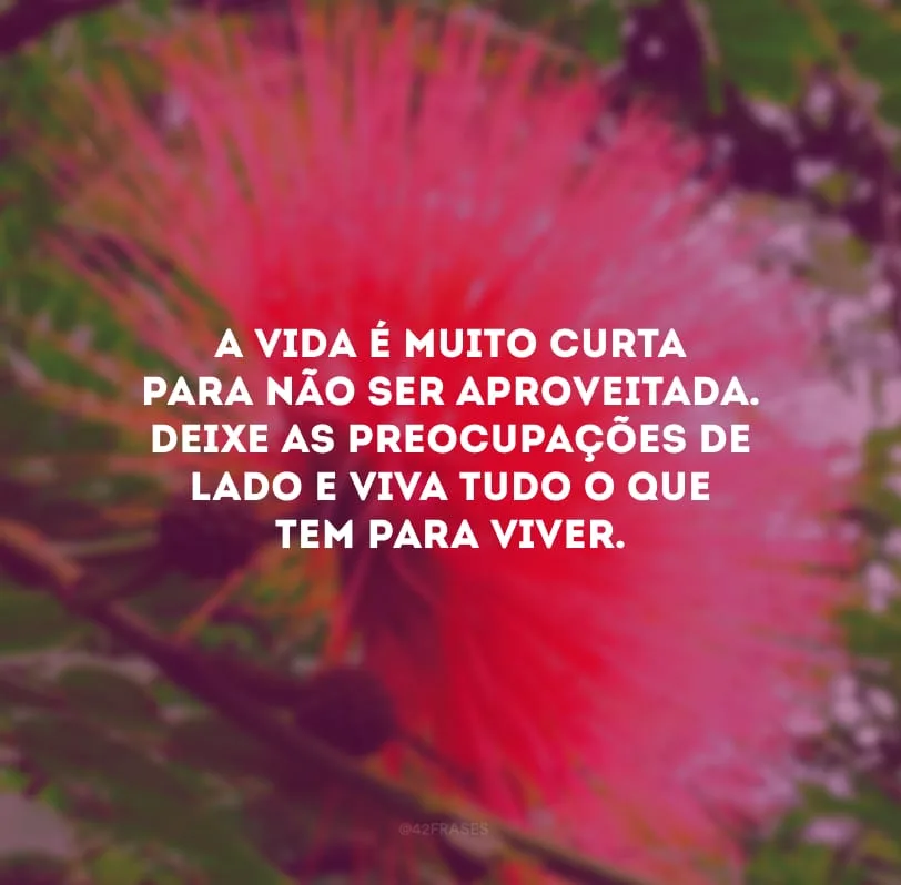A vida é muito curta para não ser aproveitada. Deixe as preocupações de lado e viva tudo o que tem para viver.