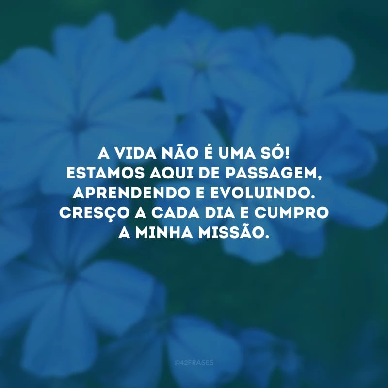 A vida não é uma só! Estamos aqui de passagem, aprendendo e evoluindo. Cresço a cada dia e cumpro a minha missão.