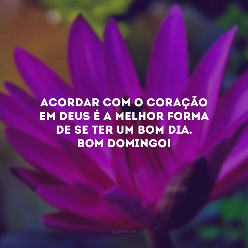 Acordar com o coração em Deus é a melhor forma de se ter um bom dia. Bom domingo! 