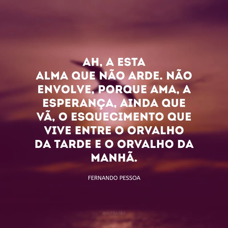 Ah, a esta alma que não arde. Não envolve, porque ama, a esperança, ainda que vã, o esquecimento que vive entre o orvalho da tarde e o orvalho da manhã.