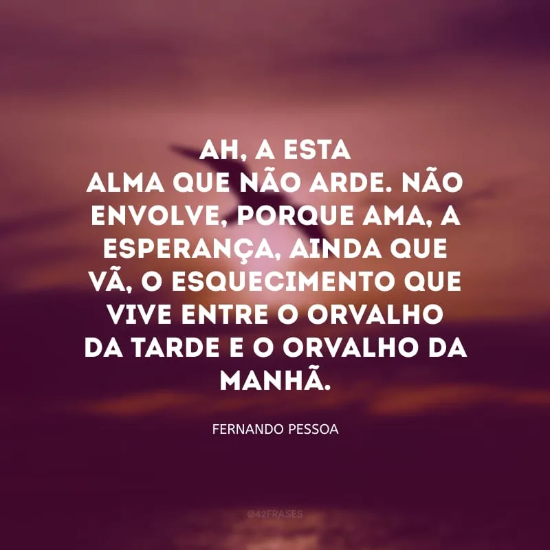 Ah, a esta alma que não arde. Não envolve, porque ama, a esperança, ainda que vã, o esquecimento que vive entre o orvalho da tarde e o orvalho da manhã.