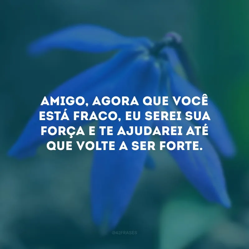 Amigo, agora que você está fraco, eu serei sua força e te ajudarei até que volte a ser forte.