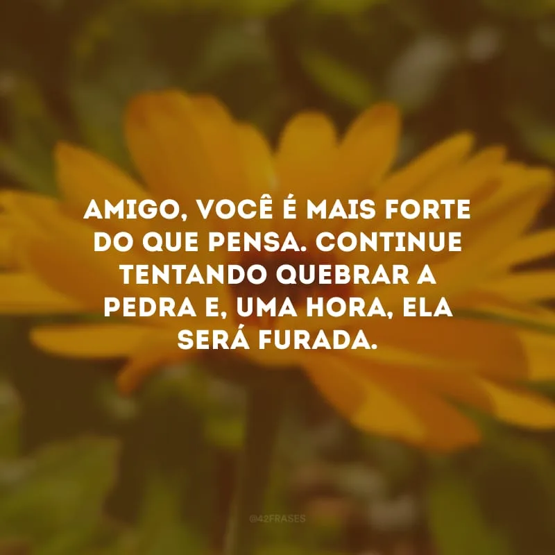 Amigo, você é mais forte do que pensa. Continue tentando quebrar a pedra e, uma hora, ela será furada.