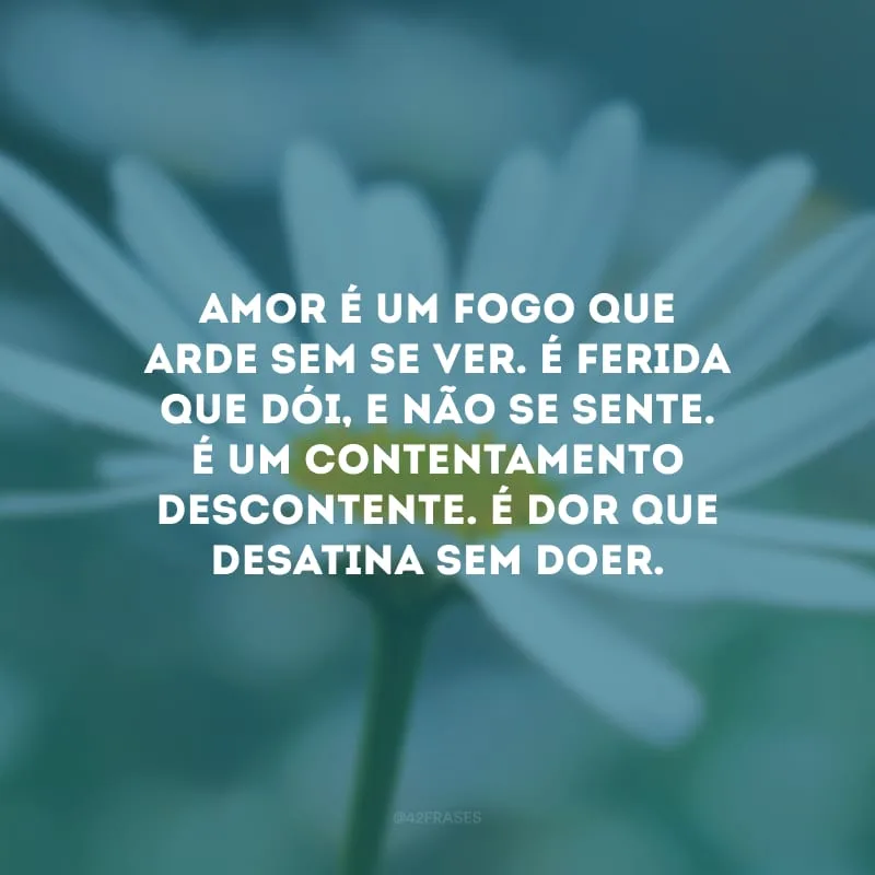 Amor é um fogo que arde sem se ver. É ferida que dói, e não se sente. É um contentamento descontente. É dor que desatina sem doer.