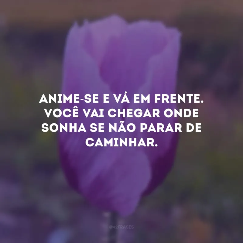 Anime-se e vá em frente. Você vai chegar onde sonha se não parar de caminhar.