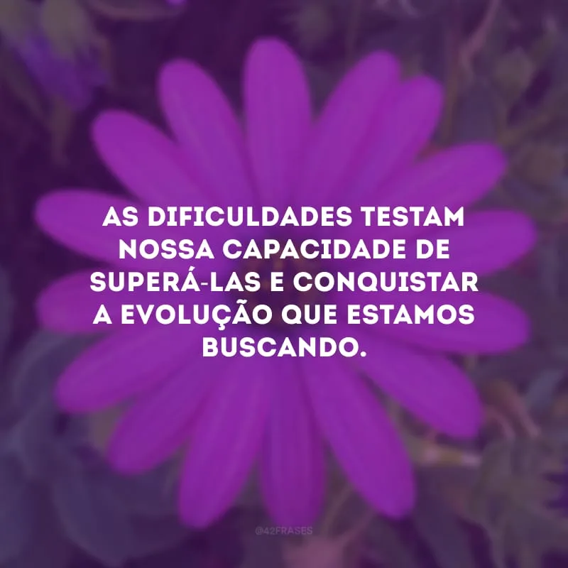 As dificuldades testam nossa capacidade de superá-las e conquistar a evolução que estamos buscando.