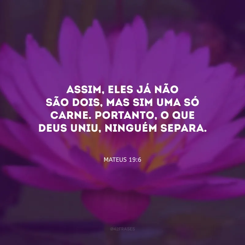 Assim, eles já não são dois, mas sim uma só carne. Portanto, o que Deus uniu, ninguém separa.