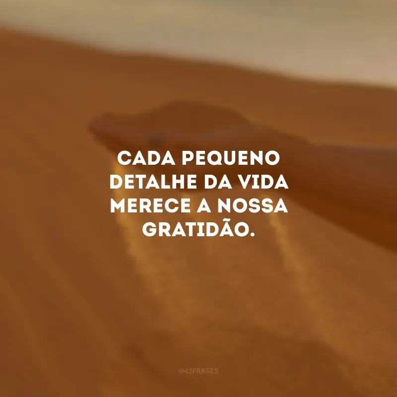 Cada pequeno detalhe da vida merece a nossa gratidão. 