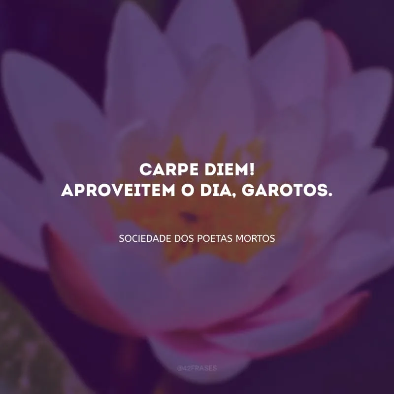 Carpe diem! Aproveitem o dia, garotos.