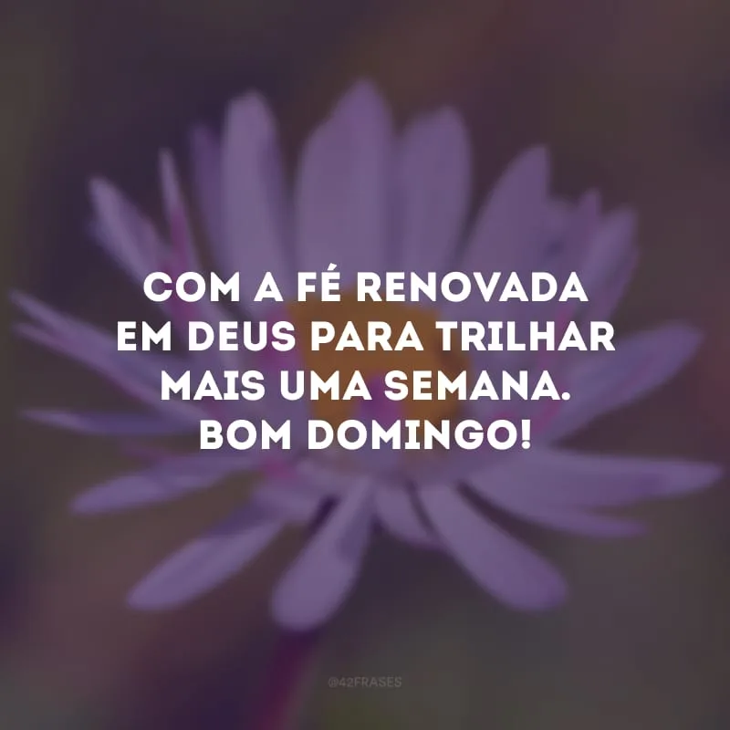 Com a fé renovada em Deus para trilhar mais uma semana. Bom domingo! 