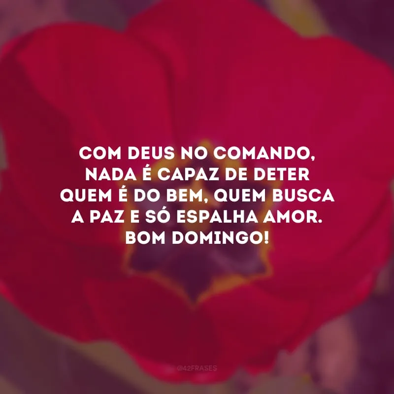 Com Deus no comando, nada é capaz de deter quem é do bem, quem busca a paz e só espalha amor. Bom domingo! 