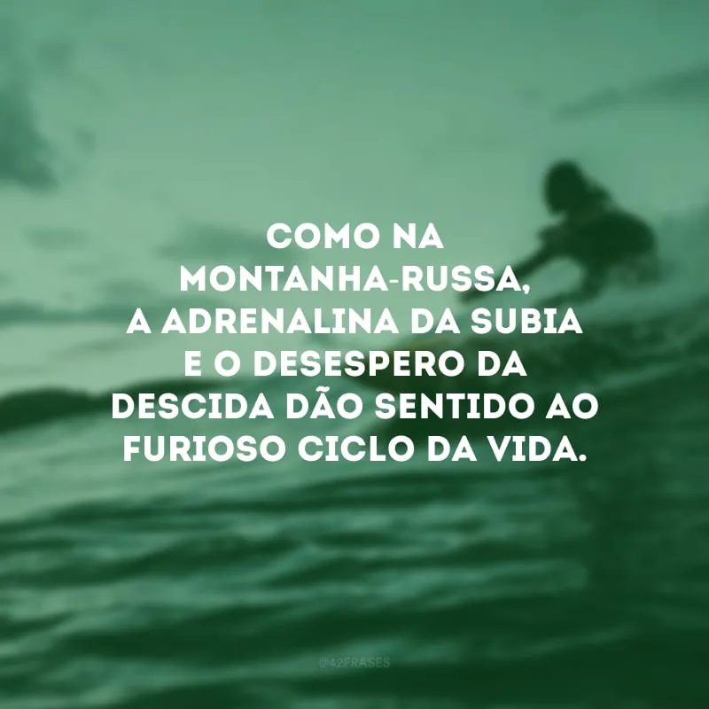 Como na montanha-russa, a adrenalina da subia e o desespero da descida dão sentido ao furioso ciclo da vida.