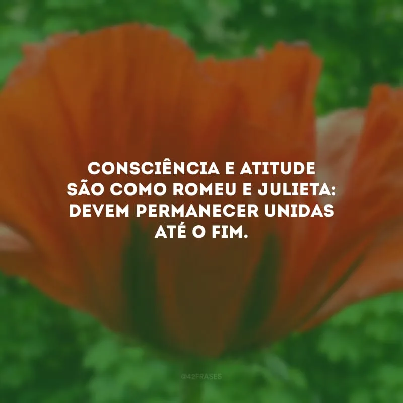 Consciência e atitude são como Romeu e Julieta: devem permanecer unidas até o fim.