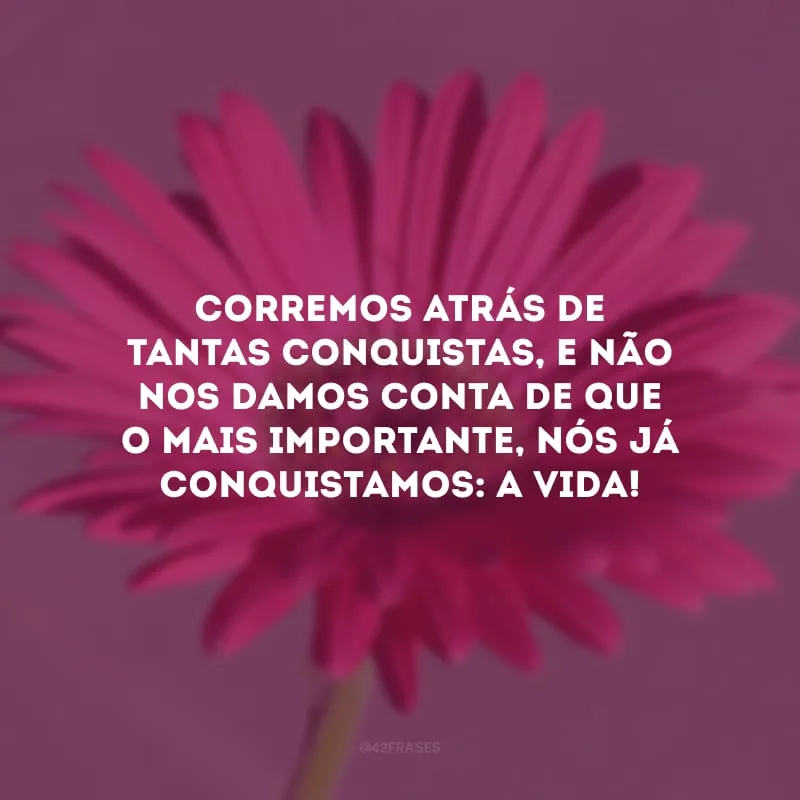 Corremos atrás de tantas conquistas, e não nos damos conta de que o mais importante, nós já conquistamos: a vida! 