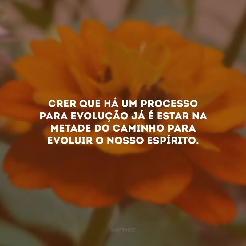 Crer que há um processo para evolução já é estar na metade do caminho para evoluir o nosso espírito.