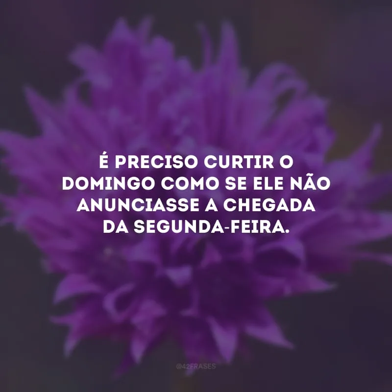 É preciso curtir o domingo como se ele não anunciasse a chegada da segunda-feira.