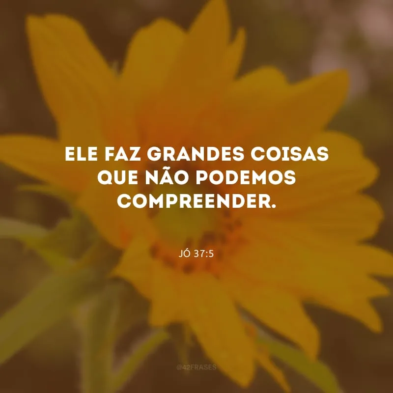 Ele faz grandes coisas que não podemos compreender.
