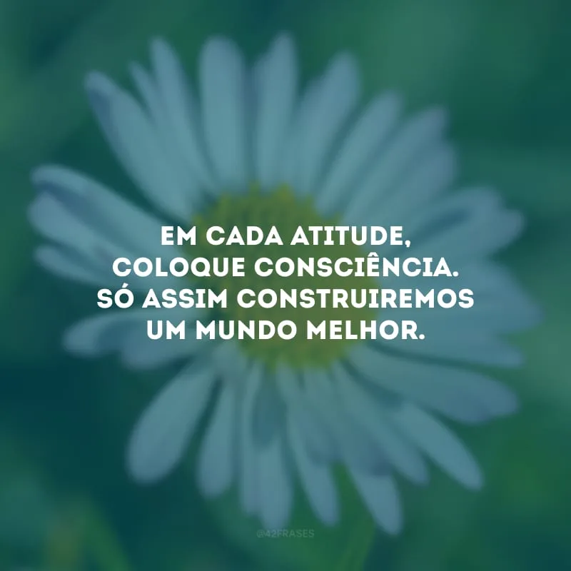 Em cada atitude, coloque consciência. Só assim construiremos um mundo melhor.