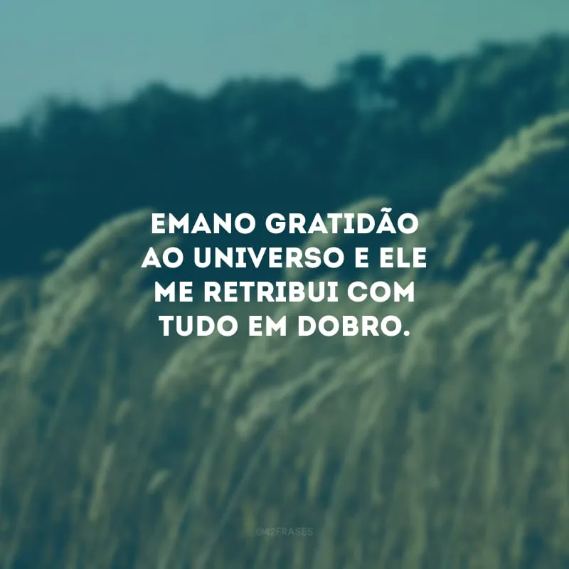 Emano gratidão ao universo e ele me retribui com tudo em dobro. 