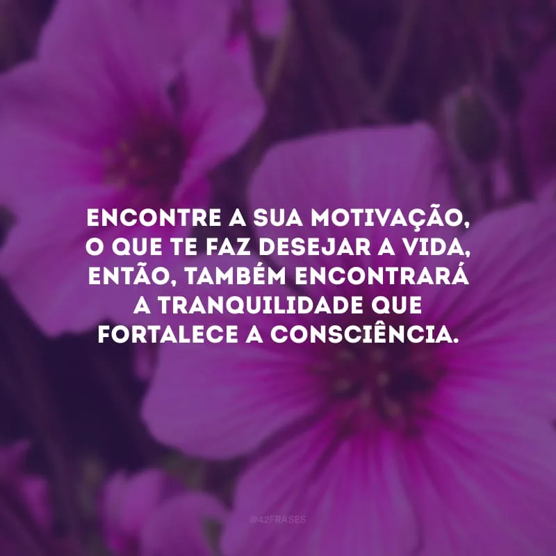 Encontre a sua motivação, o que te faz desejar a vida, então, também encontrará a tranquilidade que fortalece a consciência.