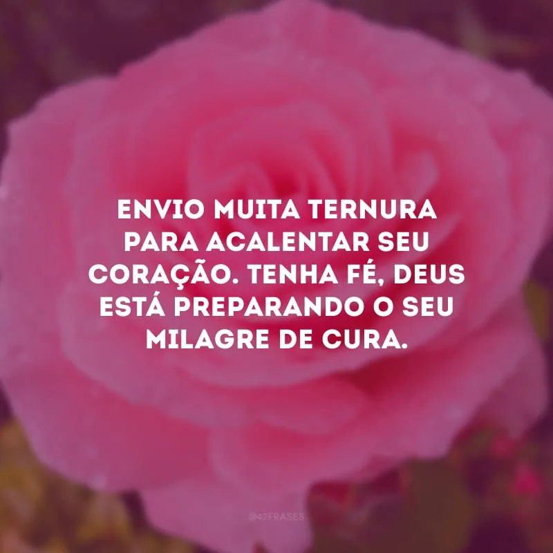 Envio muita ternura para acalentar seu coração. Tenha fé, Deus está preparando o seu milagre de cura. 