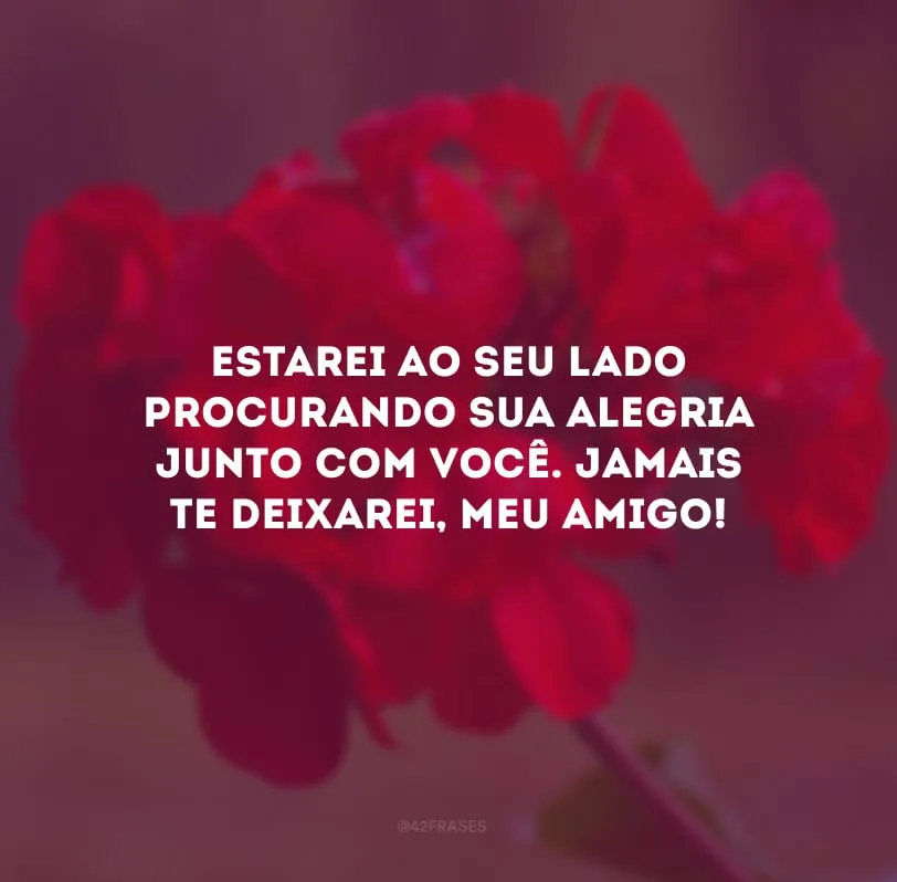 Estarei ao seu lado procurando sua alegria junto com você. Jamais te deixarei, meu amigo!