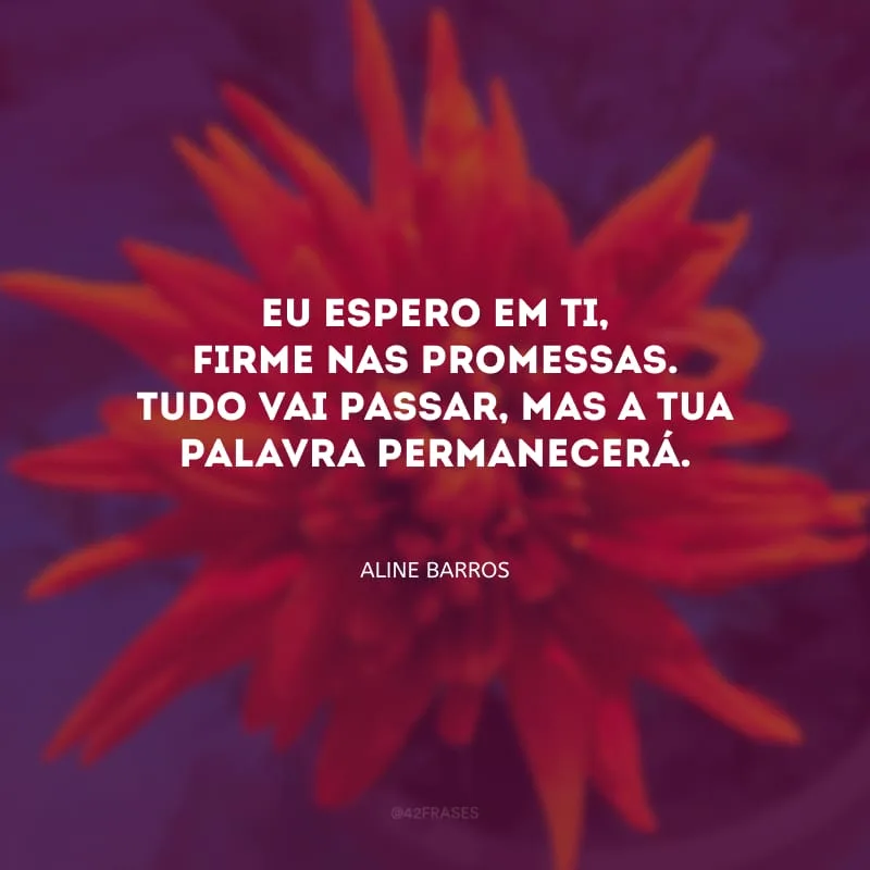 Eu espero em Ti, firme nas promessas. Tudo vai passar, mas a Tua palavra permanecerá. 