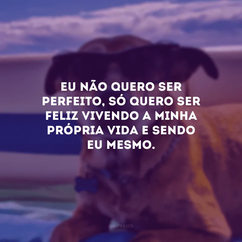 Eu não quero ser perfeito, só quero ser feliz vivendo a minha própria vida e sendo eu mesmo.