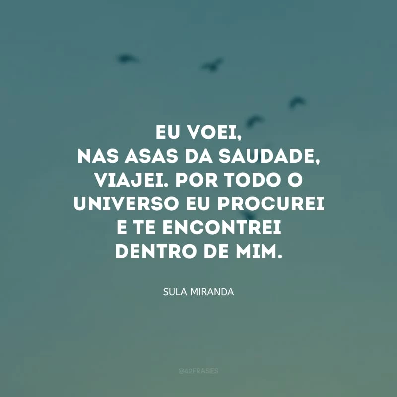 Eu voei, nas asas da saudade, viajei. Por todo o universo eu procurei e te encontrei dentro de mim.