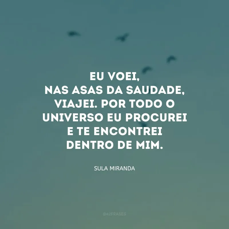 Eu voei, nas asas da saudade, viajei. Por todo o universo eu procurei e te encontrei dentro de mim.
