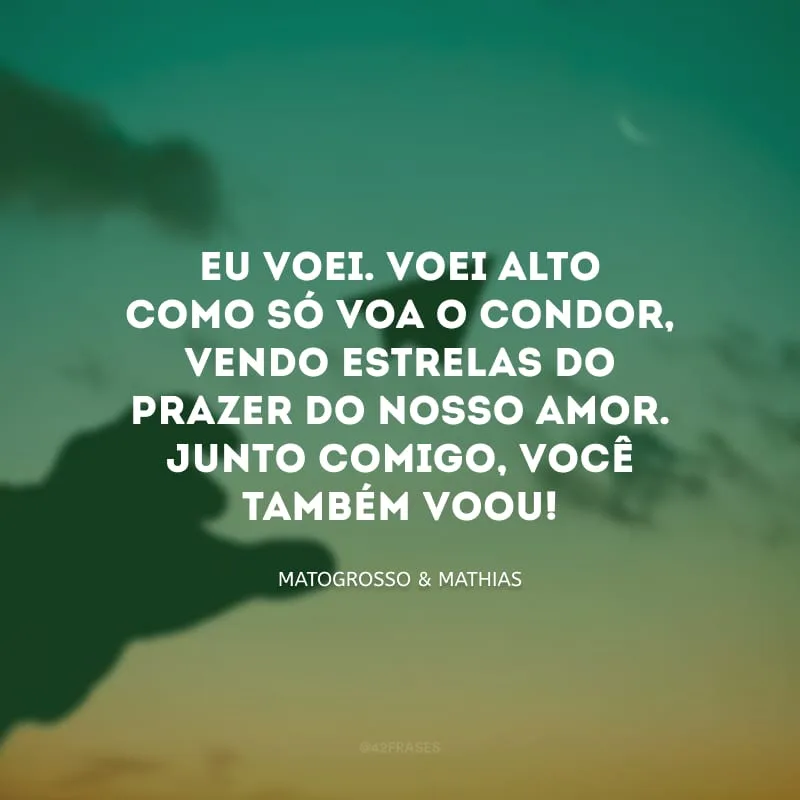 Eu voei. Voei alto como só voa o condor, vendo estrelas do prazer do nosso amor. Junto comigo, você também voou!