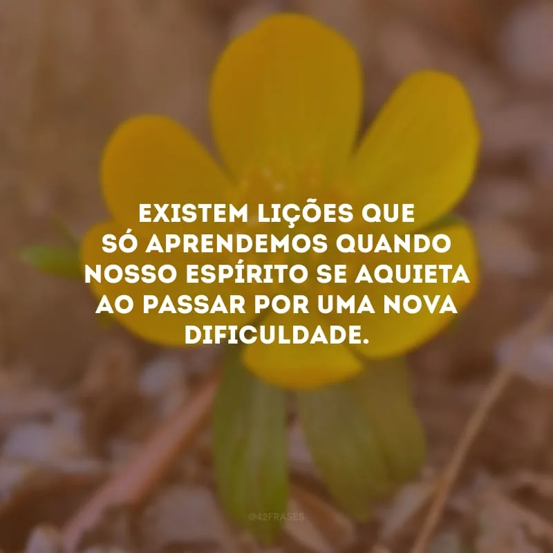 Existem lições que só aprendemos quando nosso espírito se aquieta ao passar por uma nova dificuldade.