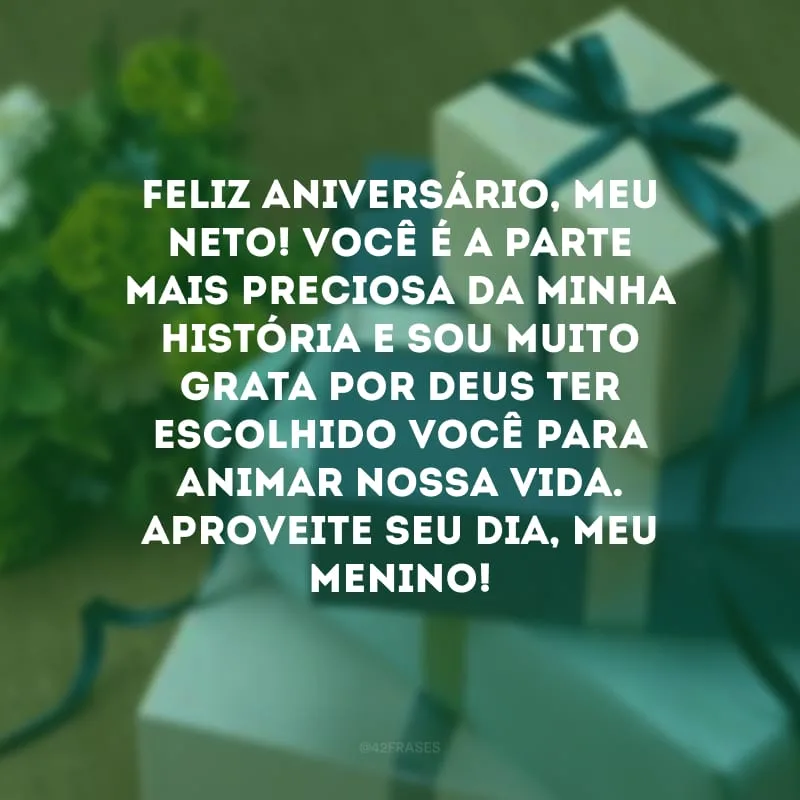 Feliz aniversário, meu neto! Você é a parte mais preciosa da minha história e sou muito grata por Deus ter escolhido você para animar nossa vida. Aproveite seu dia, meu menino!